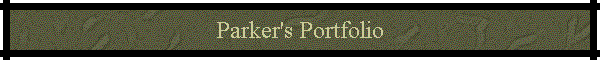 Parker's Portfolio