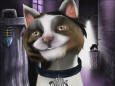 Feedback Cat