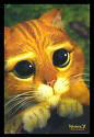 Puss 'n Boots picture